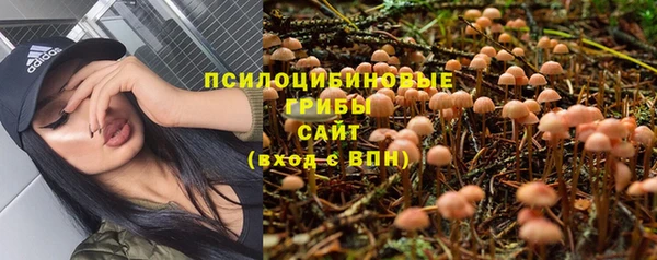 прущий лед Володарск