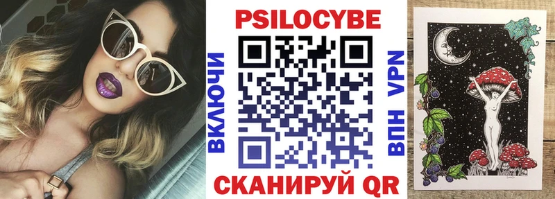 где можно купить наркотик Дзержинский Галлюциногенные грибы Cubensis
